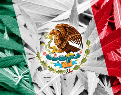 México la legalización de la marihuana