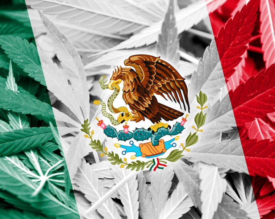 México la legalización de la marihuana