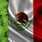 Marihuana es legal en México