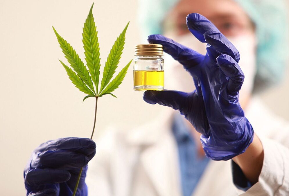 cannabis medicinal y terapéutico