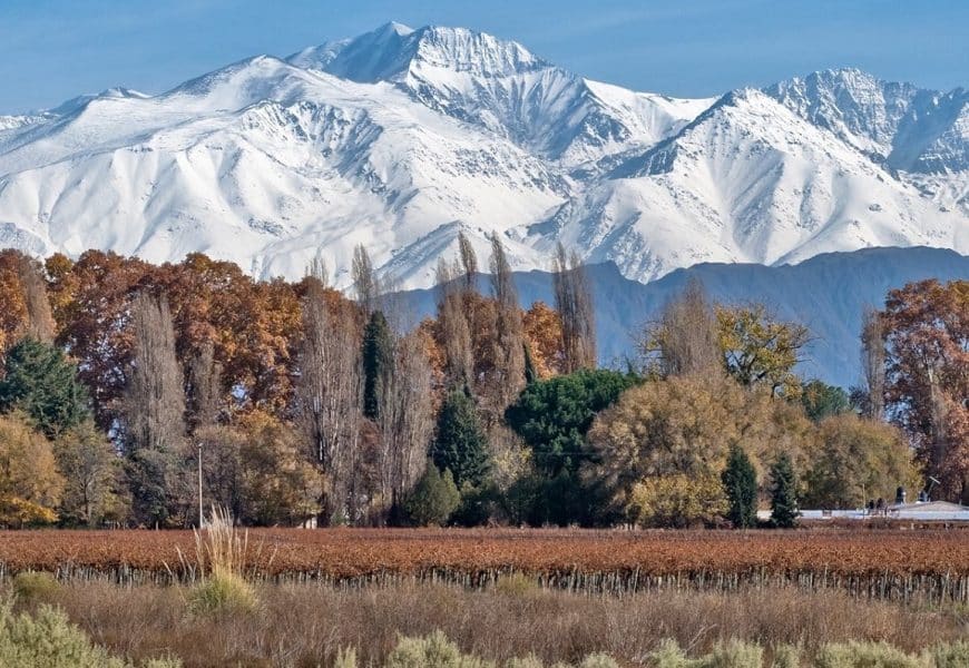 mendoza