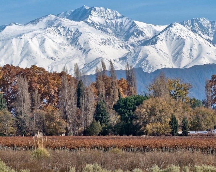 mendoza