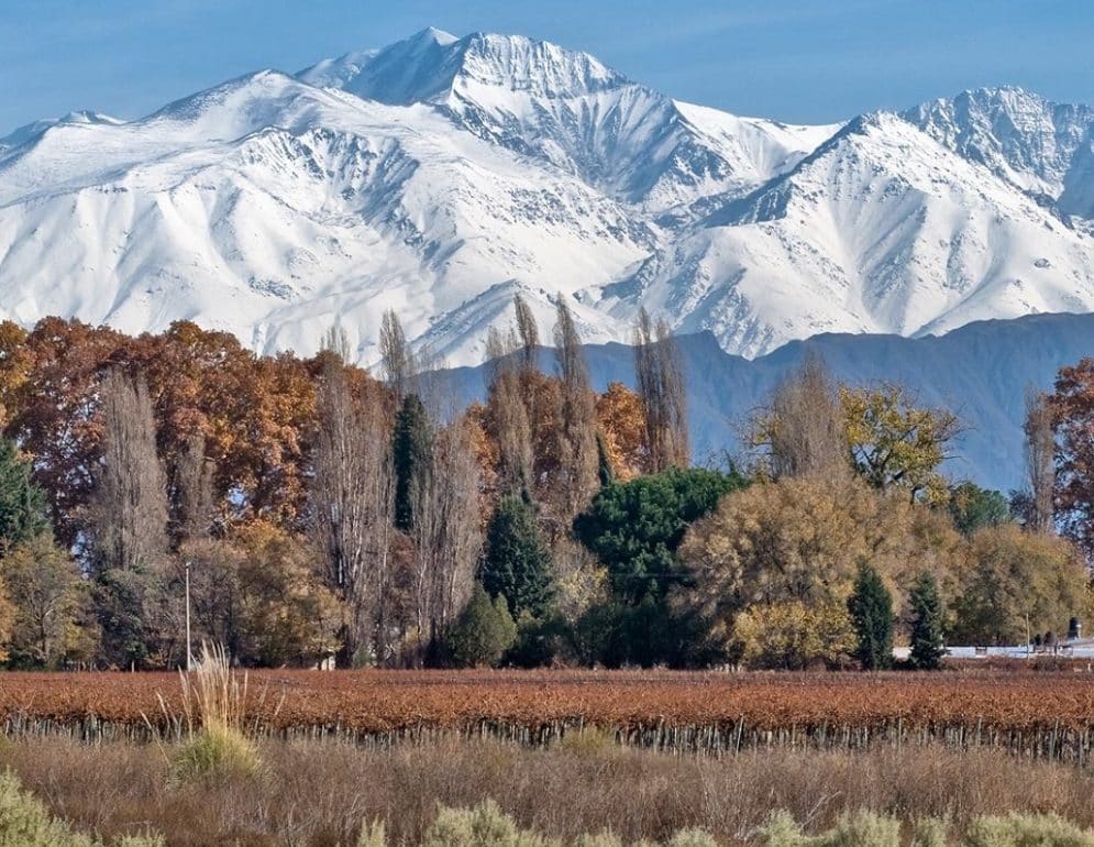 mendoza