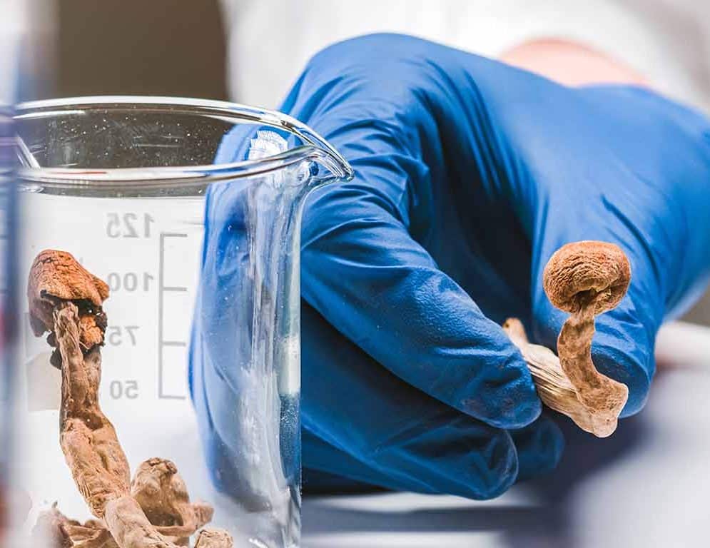 hongos alucinógenos depresión