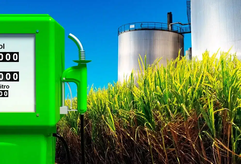 Ley de Biocombustibles