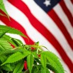 USA endurece regulación de cannabis