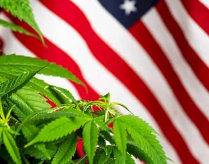 USA endurece regulación de cannabis