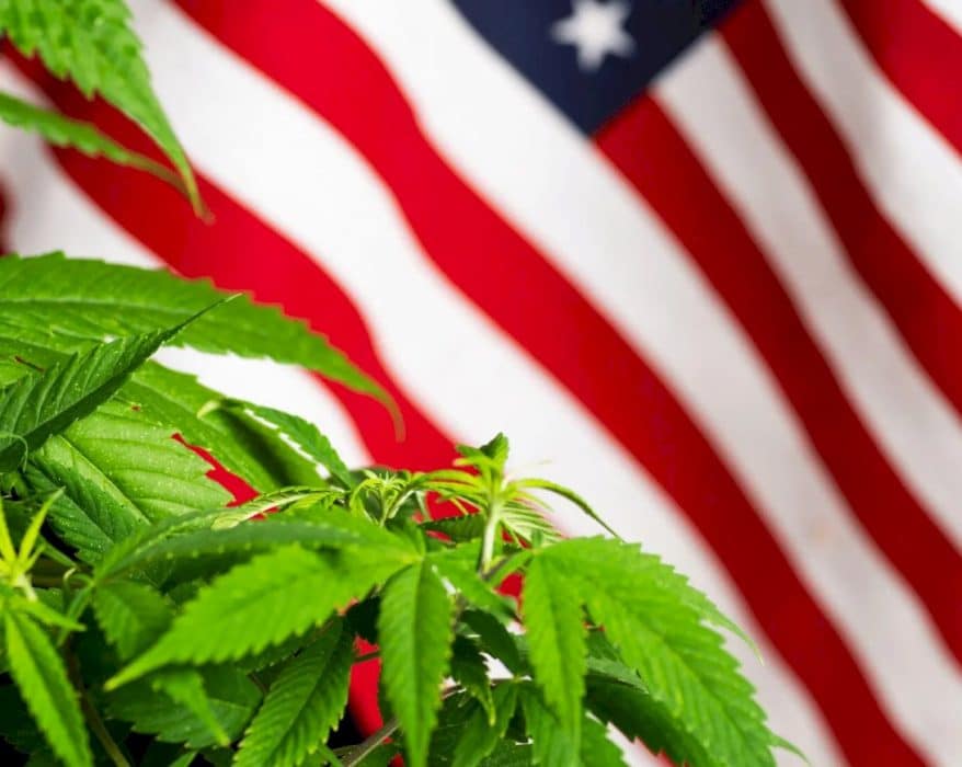USA endurece regulación de cannabis