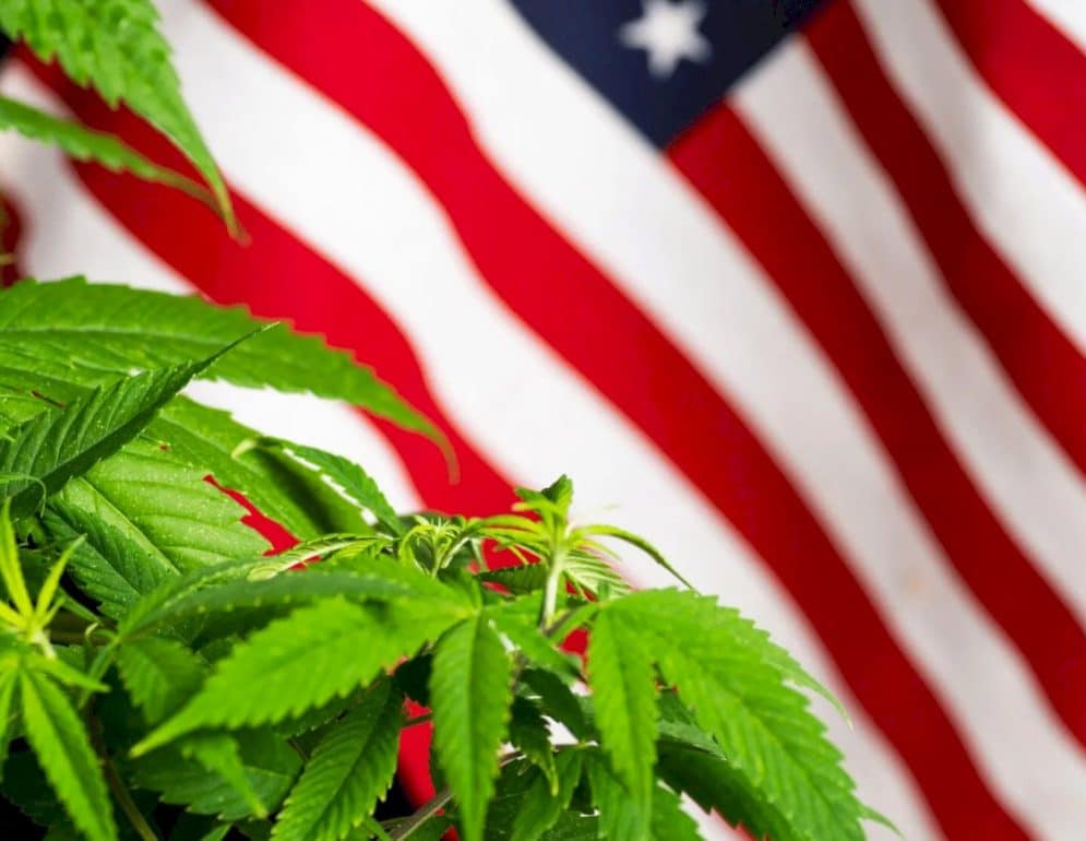 USA endurece regulación de cannabis