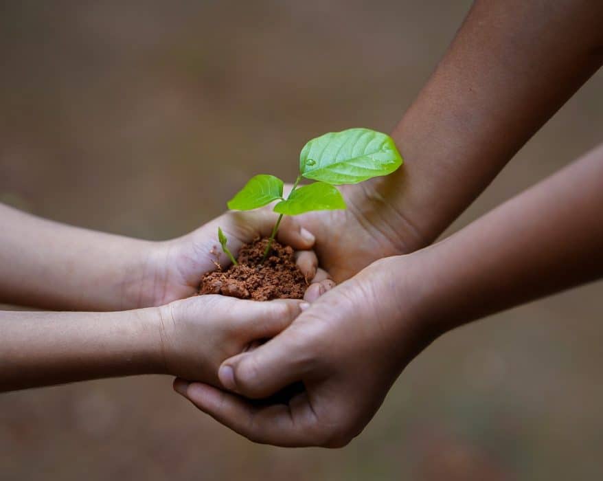 destruyen la politica ambiental