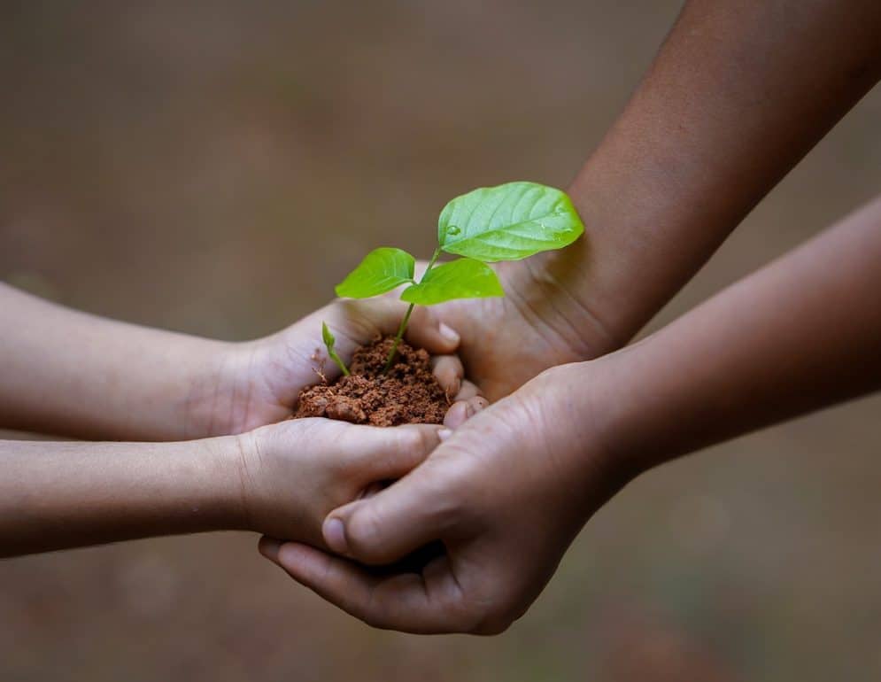 destruyen la politica ambiental
