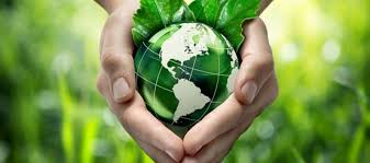 destruyen la politica ambiental