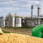 biocombustibles